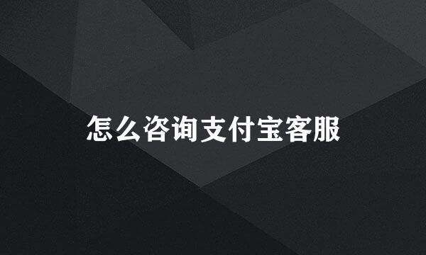 怎么咨询支付宝客服