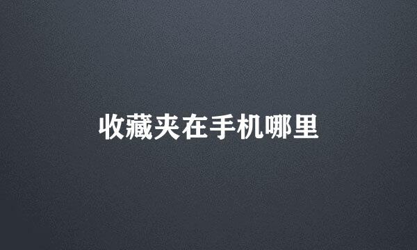 收藏夹在手机哪里