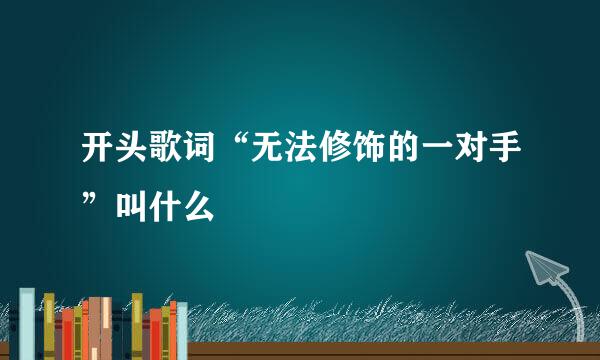 开头歌词“无法修饰的一对手”叫什么