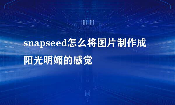 snapseed怎么将图片制作成阳光明媚的感觉