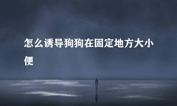 怎么诱导狗狗在固定地方大小便