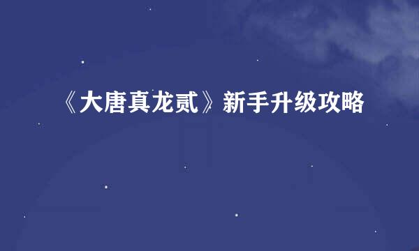 《大唐真龙贰》新手升级攻略