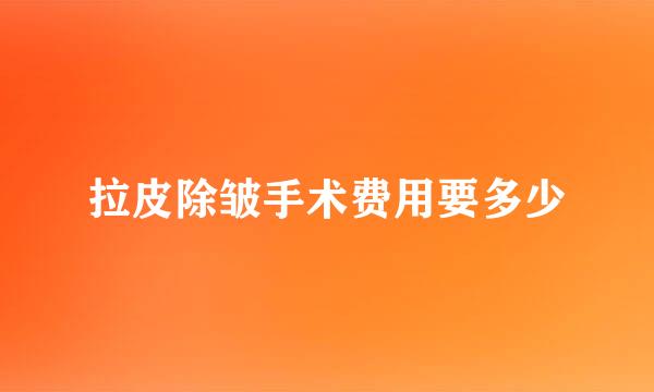 拉皮除皱手术费用要多少