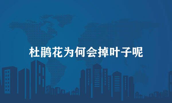 杜鹃花为何会掉叶子呢