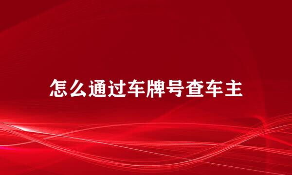 怎么通过车牌号查车主