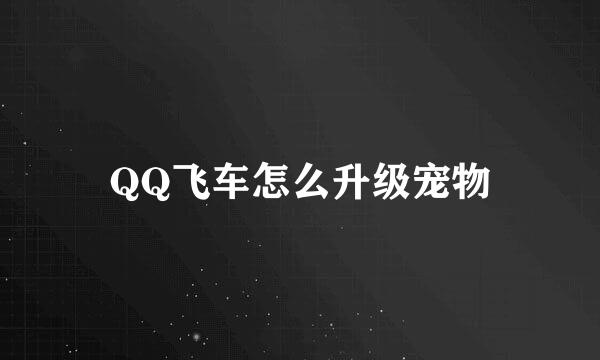 QQ飞车怎么升级宠物