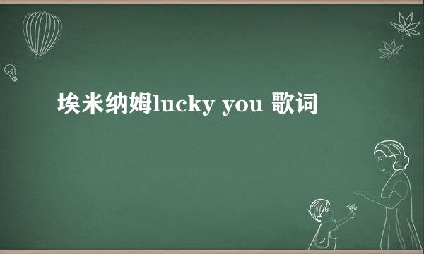 埃米纳姆lucky you 歌词