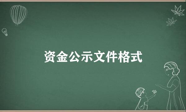 资金公示文件格式