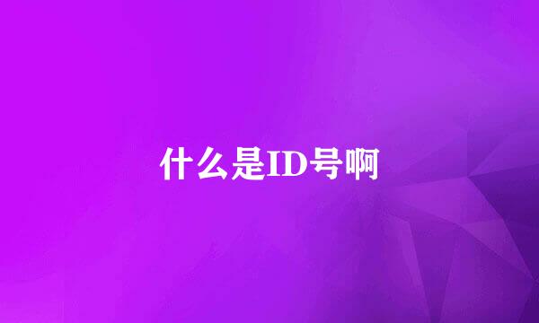 什么是ID号啊