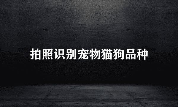 拍照识别宠物猫狗品种