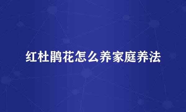 红杜鹃花怎么养家庭养法
