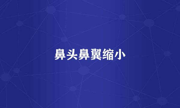 鼻头鼻翼缩小