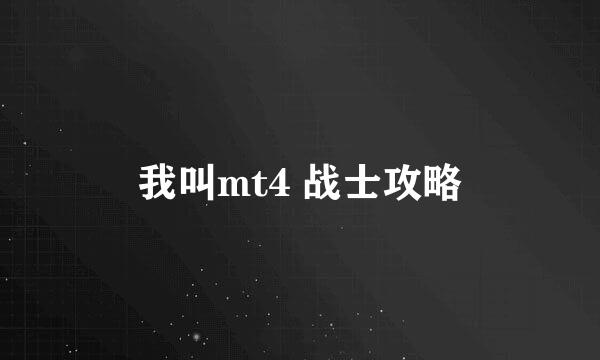 我叫mt4 战士攻略