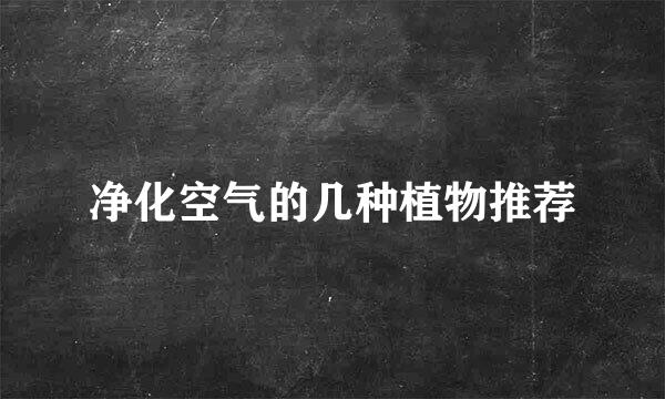 净化空气的几种植物推荐