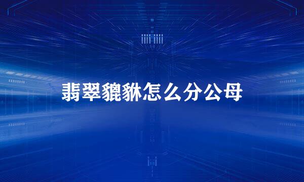 翡翠貔貅怎么分公母