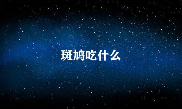 斑鸠吃什么