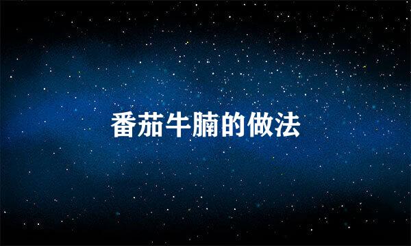 番茄牛腩的做法