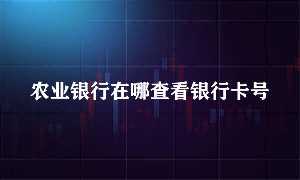 农业银行在哪查看银行卡号