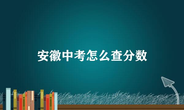 安徽中考怎么查分数