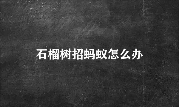 石榴树招蚂蚁怎么办