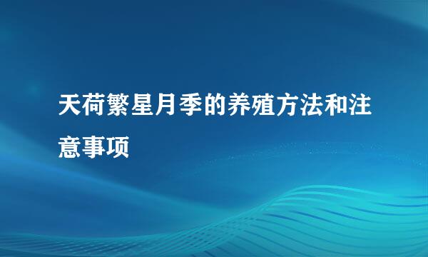 天荷繁星月季的养殖方法和注意事项