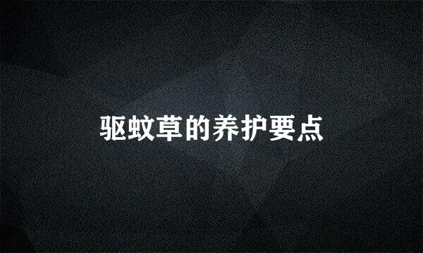 驱蚊草的养护要点