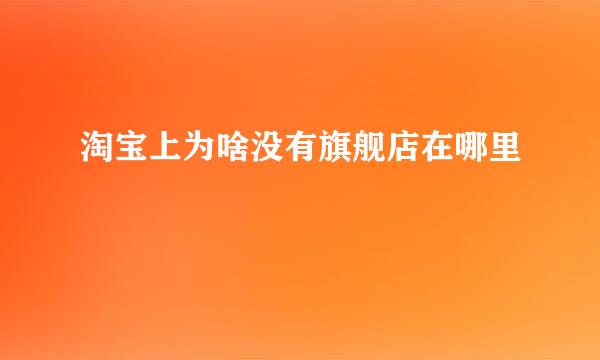 淘宝上为啥没有旗舰店在哪里