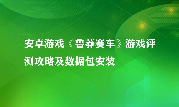 安卓游戏《鲁莽赛车》游戏评测攻略及数据包安装