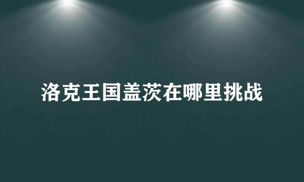 洛克王国盖茨在哪里挑战
