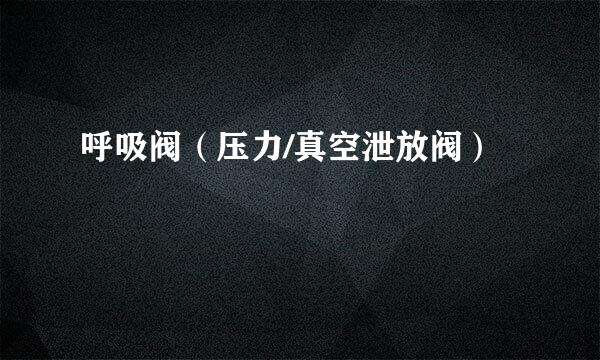 呼吸阀（压力/真空泄放阀）