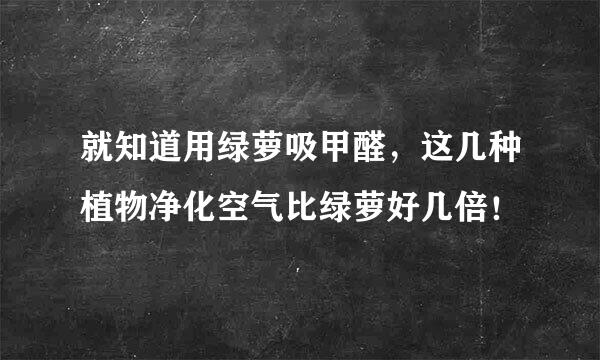 就知道用绿萝吸甲醛，这几种植物净化空气比绿萝好几倍！