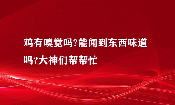 鸡有嗅觉吗?能闻到东西味道吗?大神们帮帮忙