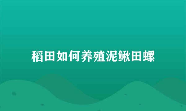 稻田如何养殖泥鳅田螺