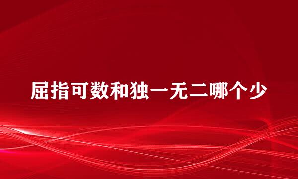 屈指可数和独一无二哪个少