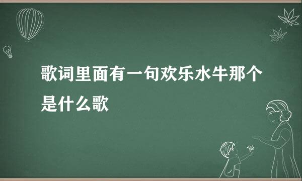 歌词里面有一句欢乐水牛那个是什么歌