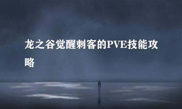 龙之谷觉醒刺客的PVE技能攻略