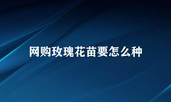 网购玫瑰花苗要怎么种