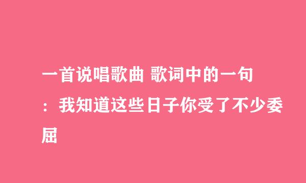 一首说唱歌曲 歌词中的一句：我知道这些日子你受了不少委屈