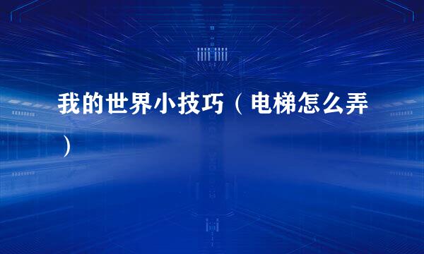 我的世界小技巧（电梯怎么弄）