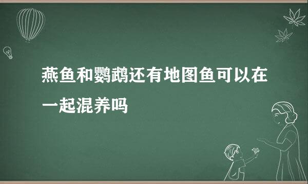 燕鱼和鹦鹉还有地图鱼可以在一起混养吗