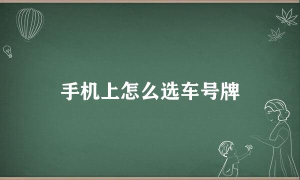 手机上怎么选车号牌