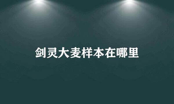 剑灵大麦样本在哪里