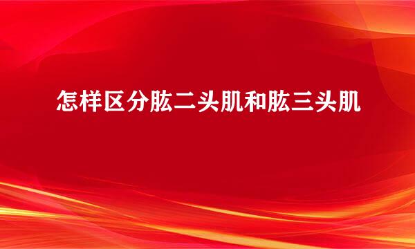 怎样区分肱二头肌和肱三头肌