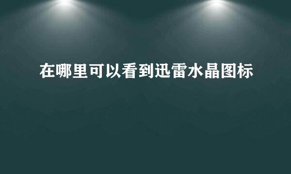 在哪里可以看到迅雷水晶图标
