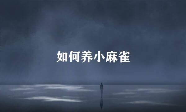 如何养小麻雀