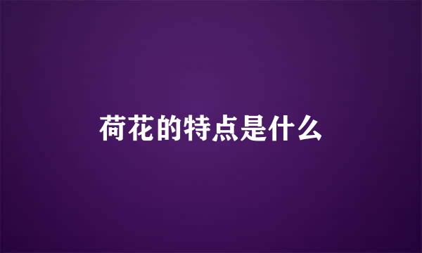 荷花的特点是什么