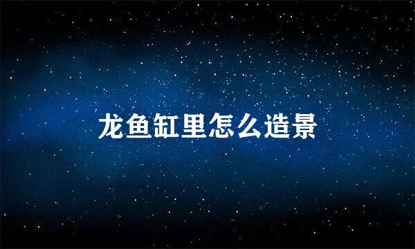 龙鱼缸里怎么造景