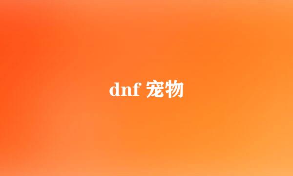 dnf 宠物