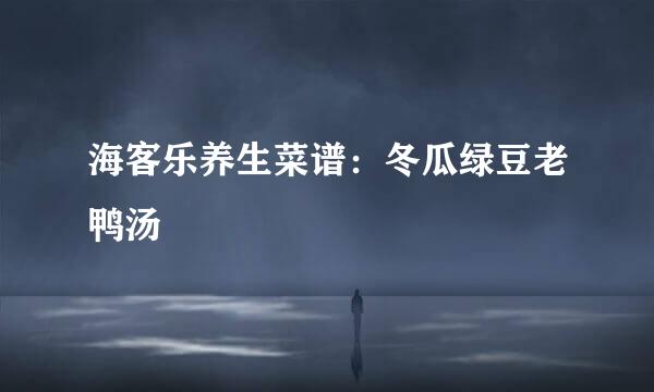 海客乐养生菜谱：冬瓜绿豆老鸭汤