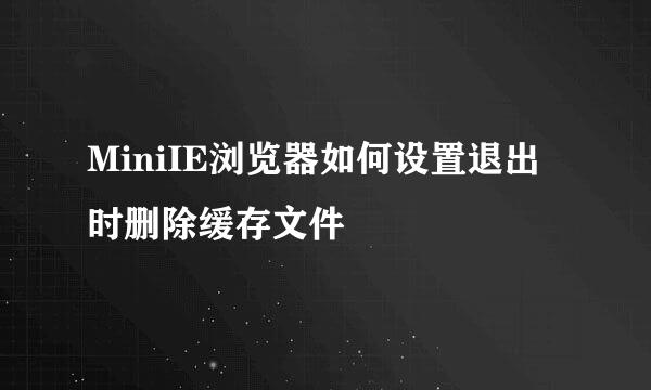 MiniIE浏览器如何设置退出时删除缓存文件
